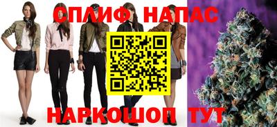 амф Кандалакша