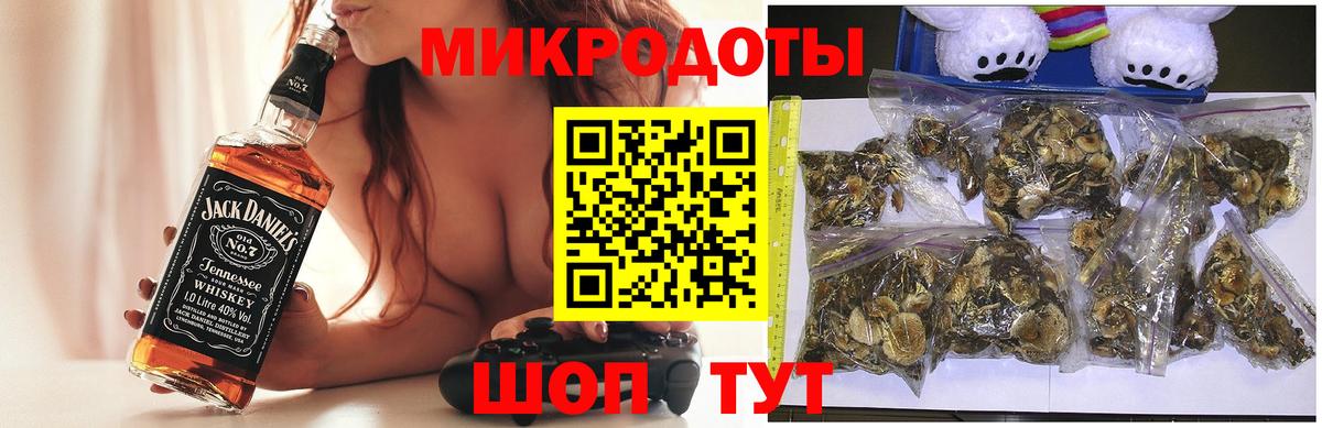 Кириши  Галлюциногенные грибы MAGIC MUSHROOMS  сколько стоит  Вход с VPN 