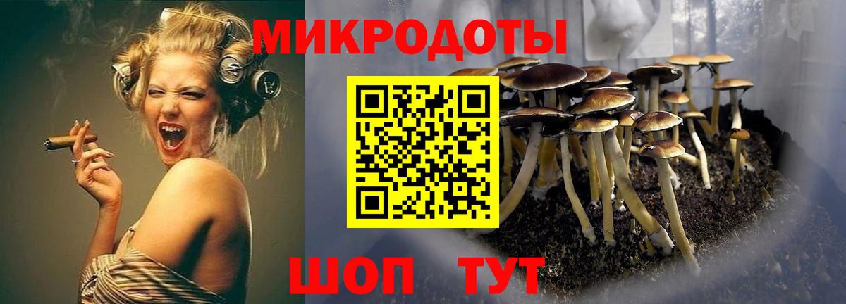 Псилоцибиновые грибы GOLDEN TEACHER Кириши